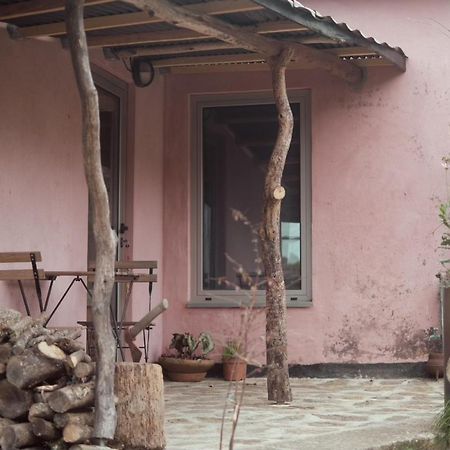 Cabana Do Dinamarques Em Arga De Baixo Exterior foto